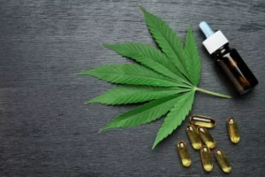 Read more about the article CBD Delivery in the San Fernando Valley: A Simple Guide