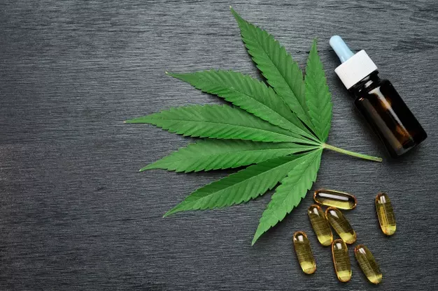 Read more about the article CBD Delivery in the San Fernando Valley: A Simple Guide