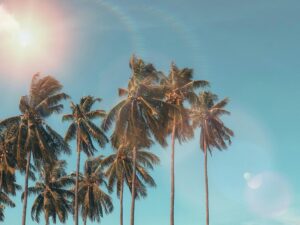 Read more about the article Top 7 Reasons Disposable CBD Vapes are Perfect for Summer Adventures